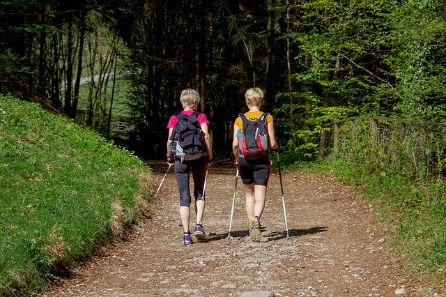 dwie kobiety spacerują po lesie z plecakami